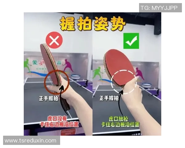 乒乓球新手必看：从零基础到比赛高手的实用经验分享与技巧总结