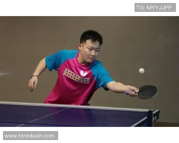 专访赵磊：探寻乒乓球背后的成功秘诀与训练心得