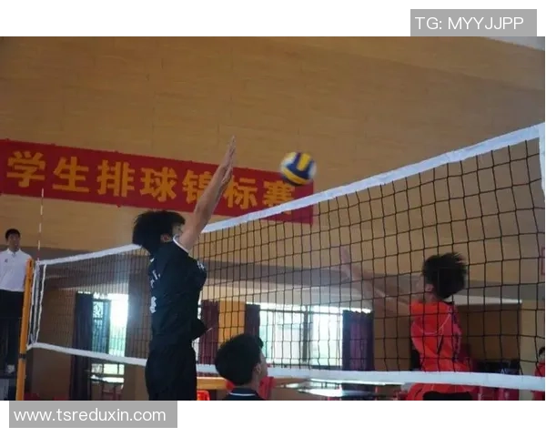 成都排球队展现卓越灵活性荣登全国排球灵活性排行榜第二名 成都排球队展现卓越灵活性荣登全国排球灵活性排行榜第二名