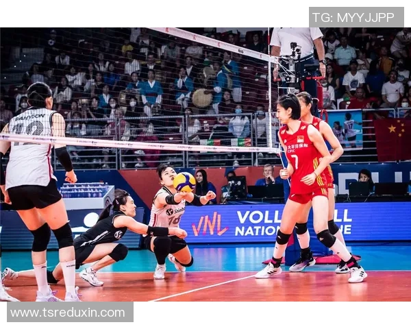 杭州排球队状态对比深度解析及未来发展趋势探讨