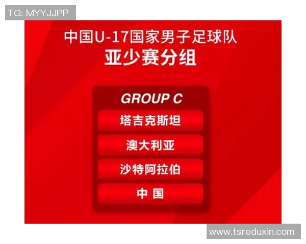 塔吉克足球明星的崛起与成就探讨